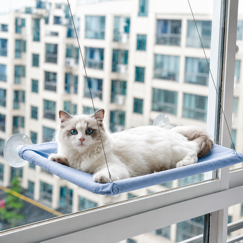 Cat Window Perch — The Floating Throne Your Cat Deserves