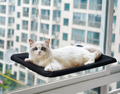 Cat Window Perch — The Floating Throne Your Cat Deserves