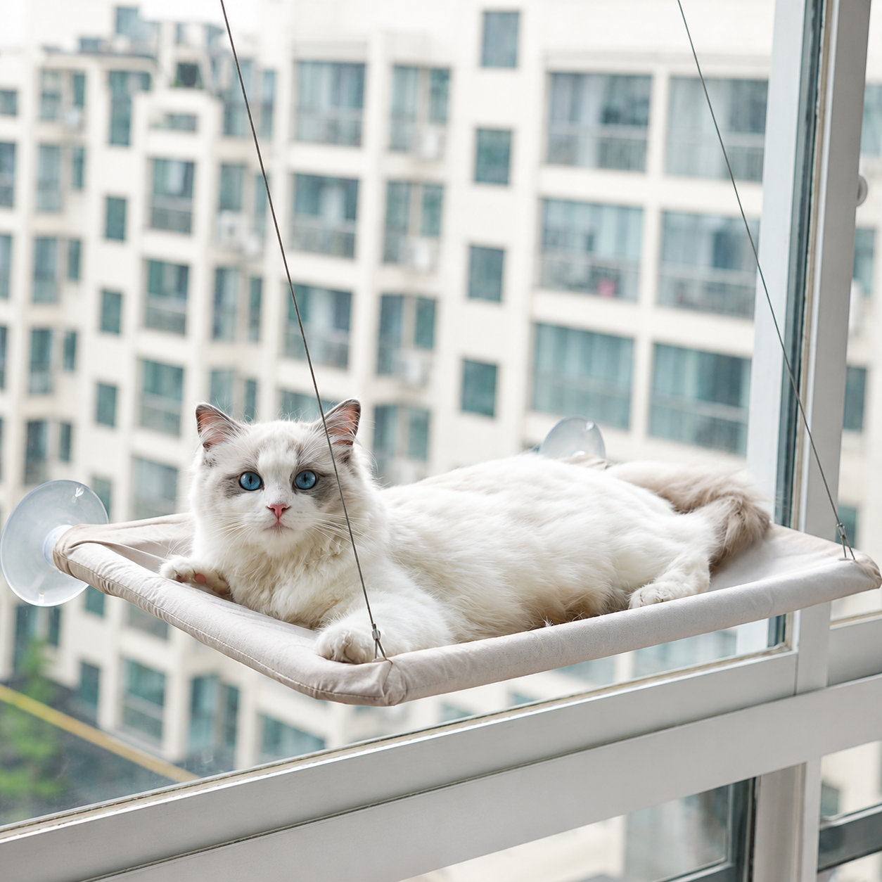 Cat Window Perch — The Floating Throne Your Cat Deserves